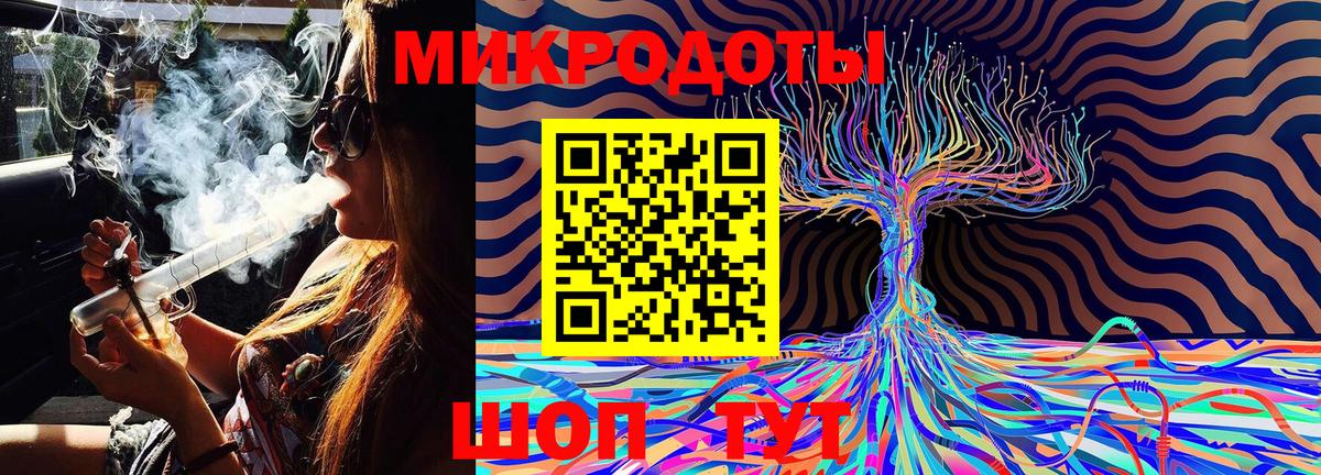 Галлюциногенные грибы Psilocybe Ростов Великий