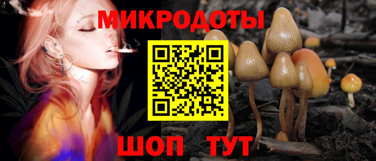 Ростов Великий  Галлюциногенные грибы прущие грибы  Вход с VPN  Псилоцибиновые грибы Psilocybe 